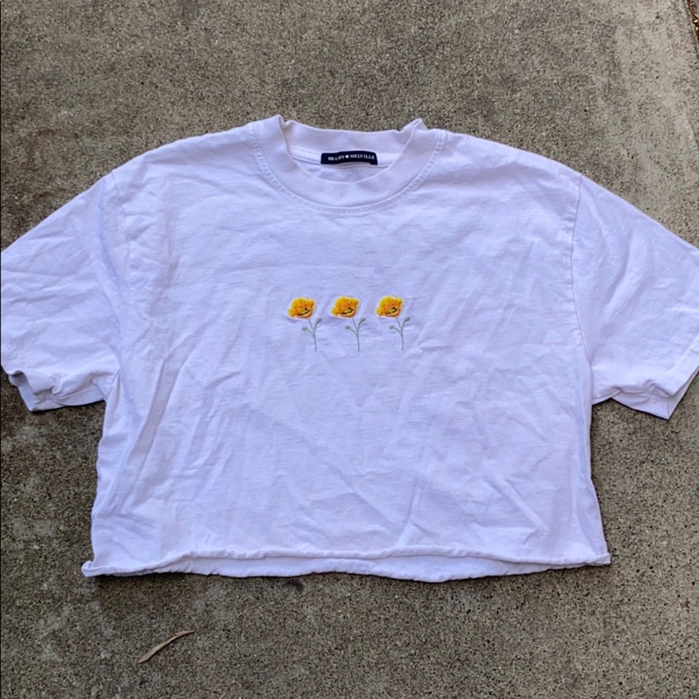 Brandy Melville cropped t shirt